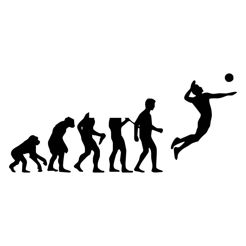 évolution de volley-ball