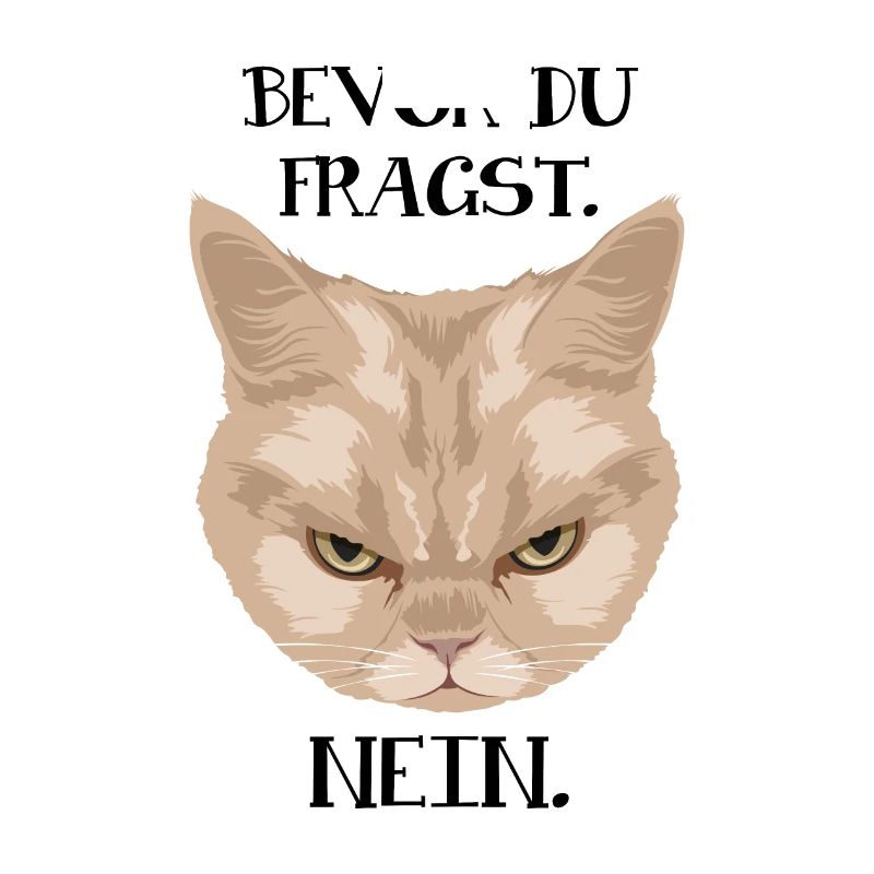 Grumpy Cat - Avant de demander_Non - P.