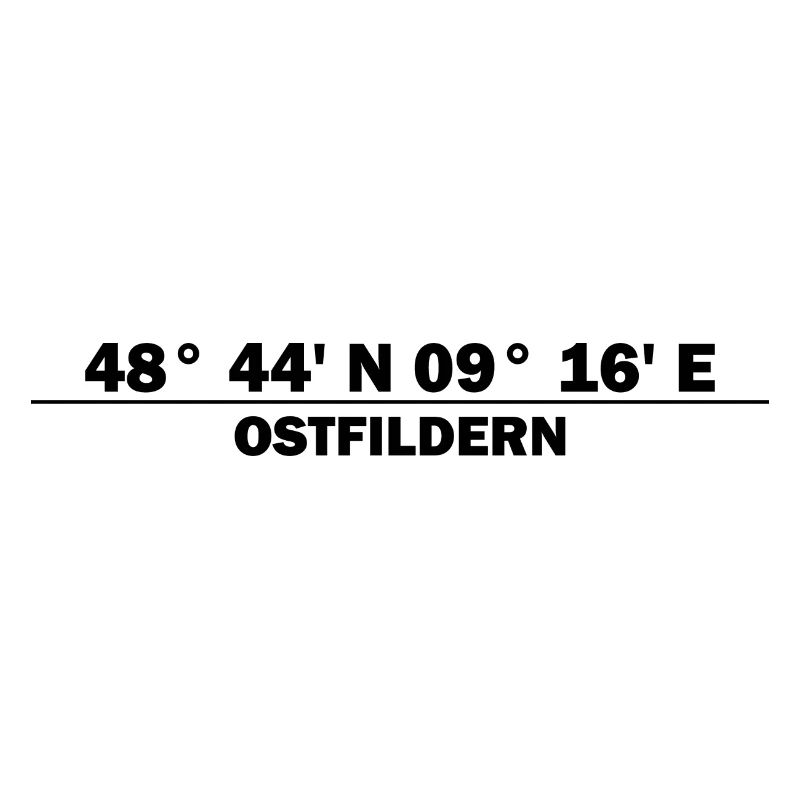 Coordonnées d’Ostfildern