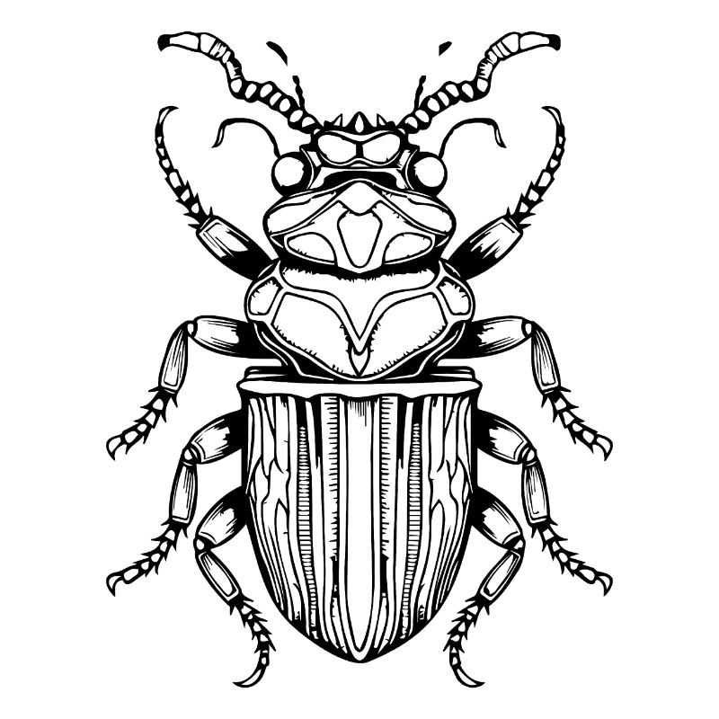 Insects, creepy-crawlies, arthropods