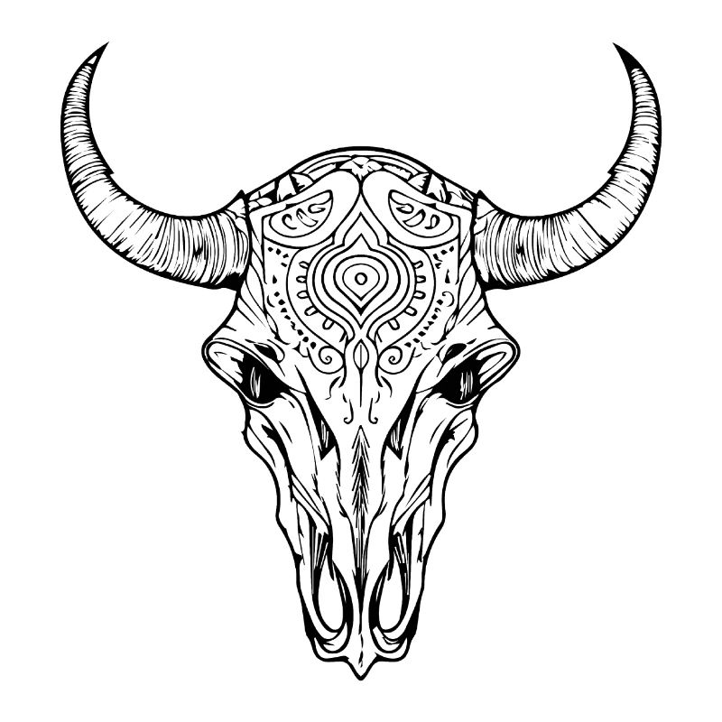 Crâne de vache Boho