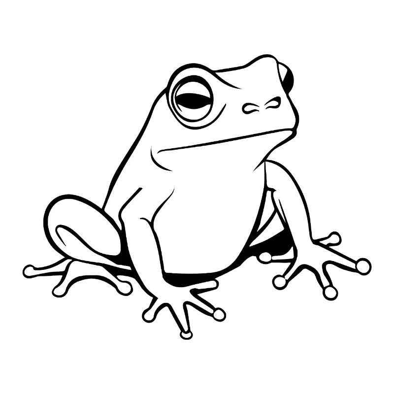 Frog Amphibian Toad