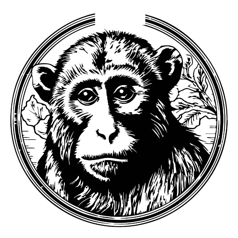 Singe Singe Visage de Singe Jungle