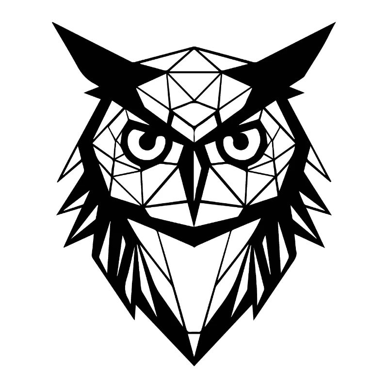 Eule Eulen Vogel Vögel