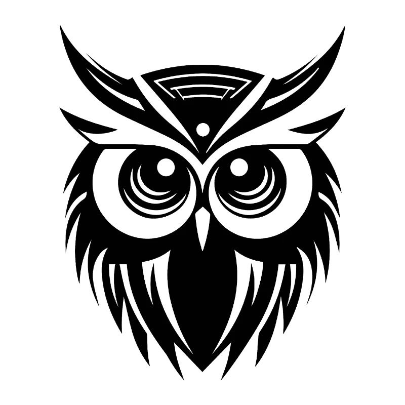 Eule Eulen Vogel Vögel