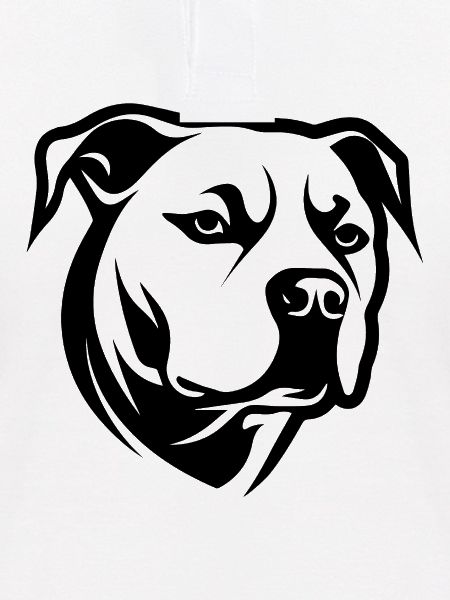 Pitbull