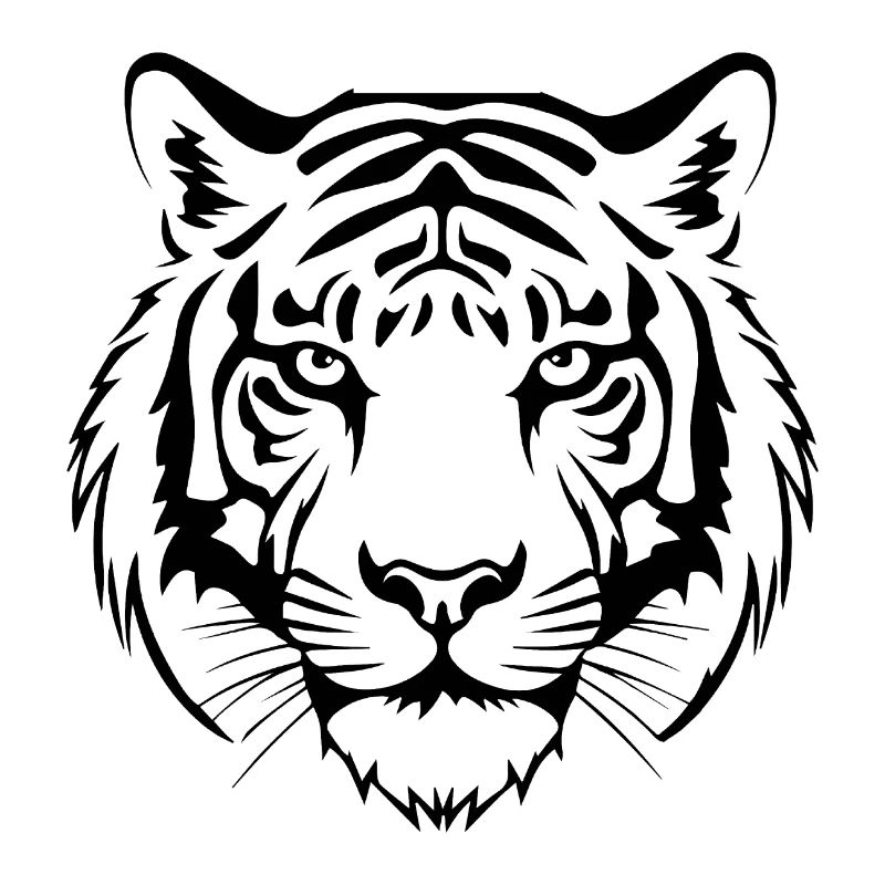 Tiger Big Cat