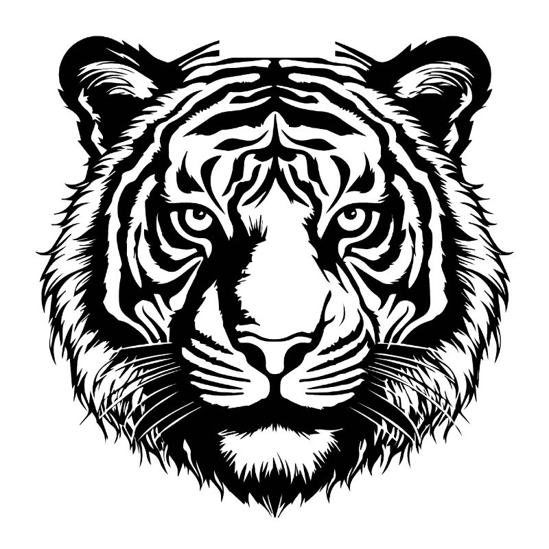 Tiger Big Cat