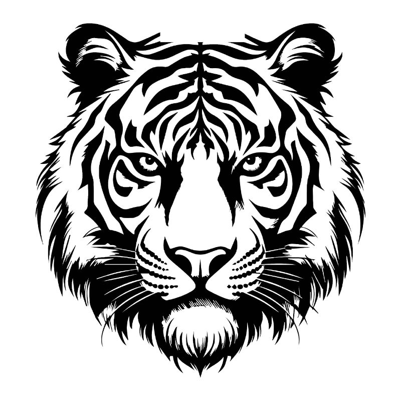 Tiger Big Cat