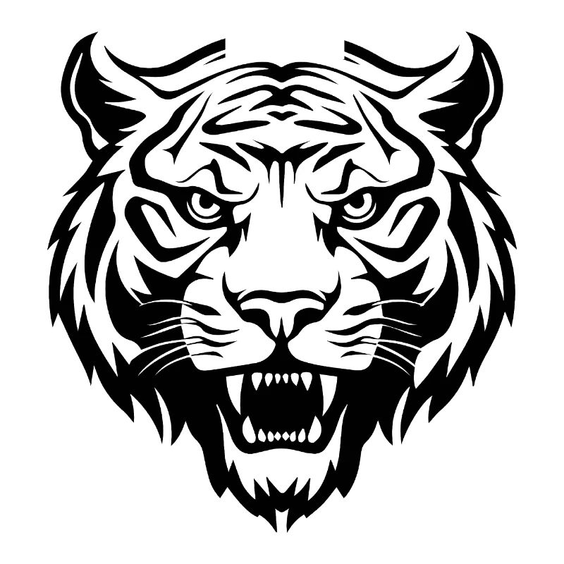 Tiger Big Cat