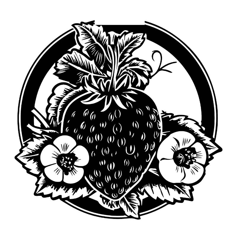 Strawberry Fruit Fruit