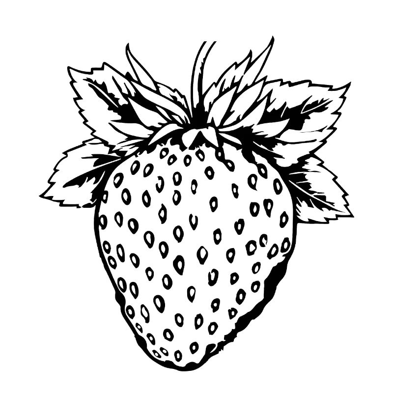 Fraise Fruit Fruit
