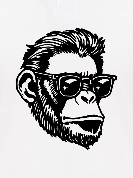 Affe Affen Affengesicht