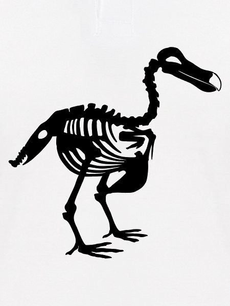 Dodo