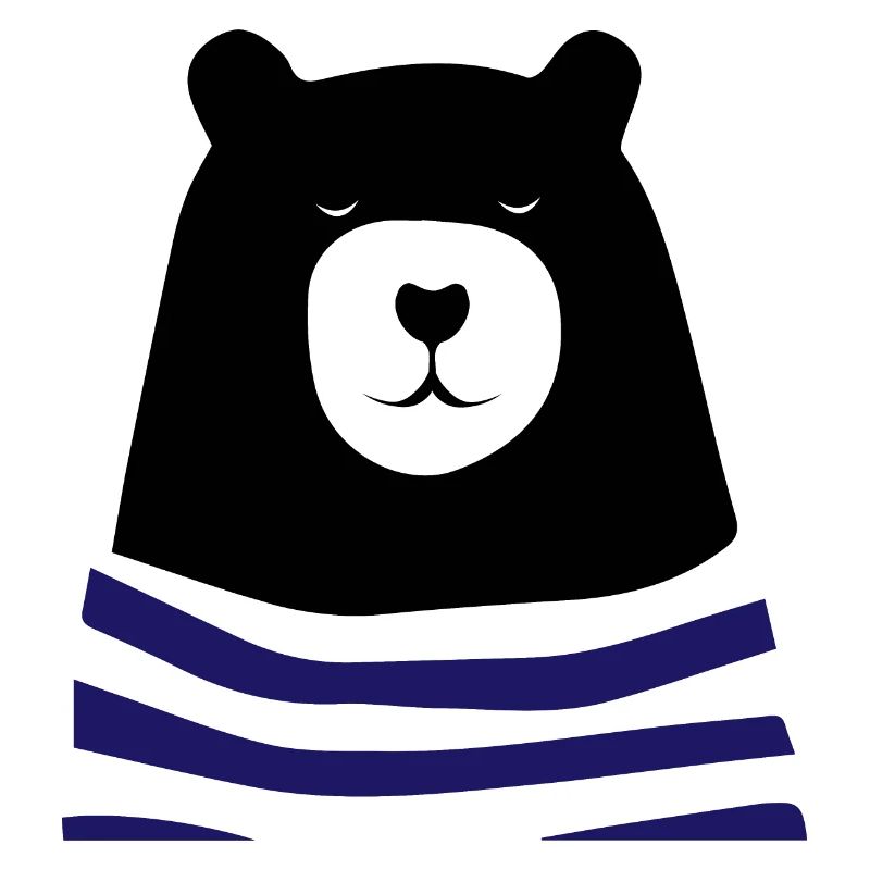Ours en pull