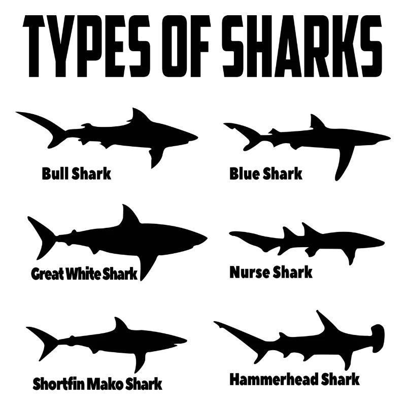 Espèces de requins