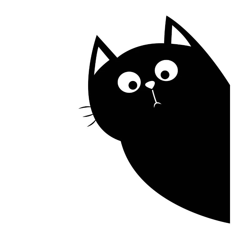 Kitty chat chat vous cherche!