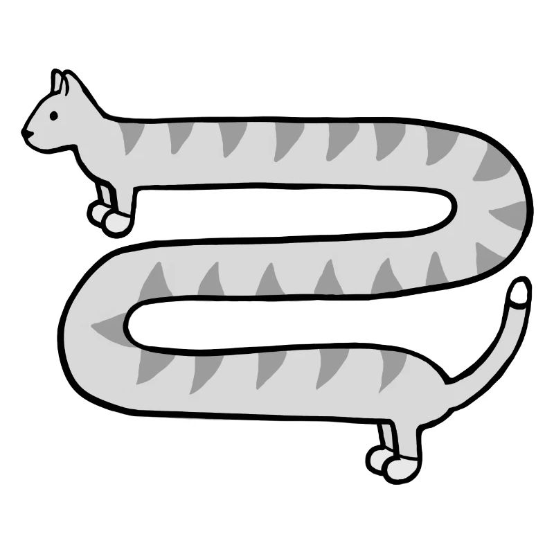 Cute long grey tabby cat