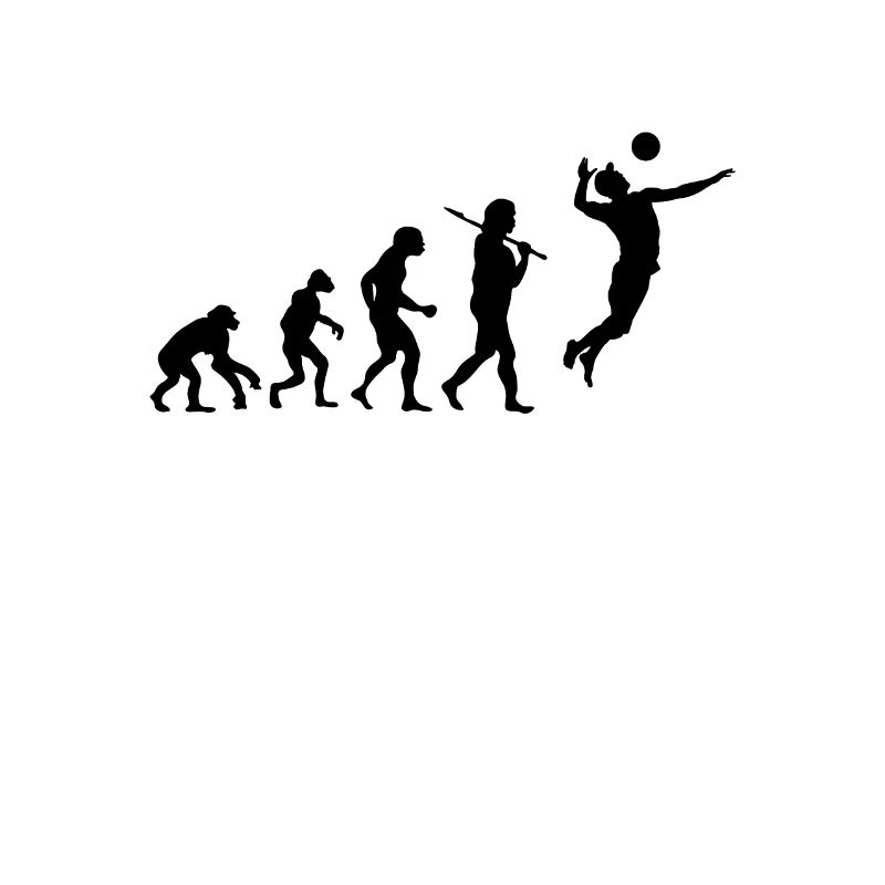 Evolution Volleyball