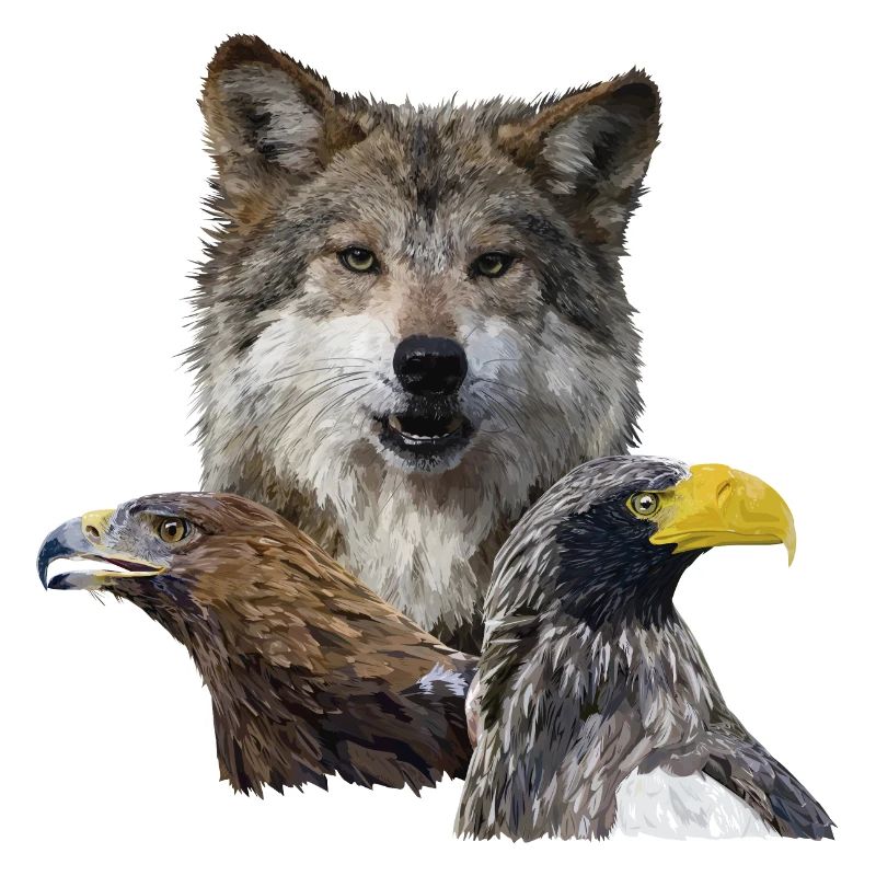 Wolf und Adler