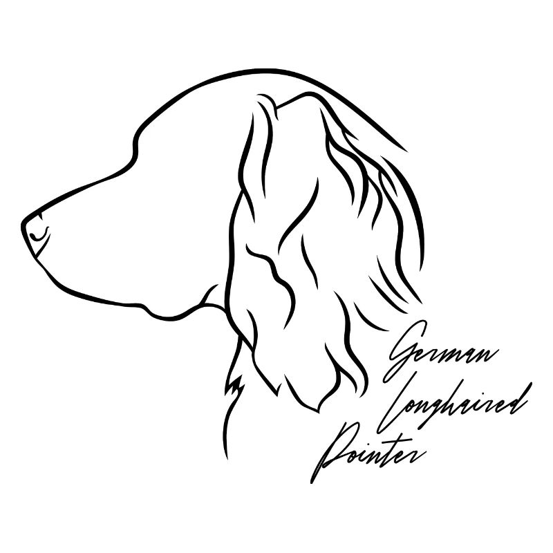 German Longhaired Pointer Profile Dogs Wilsigns