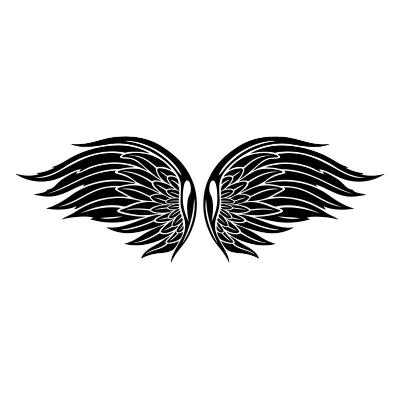 Ailes d'ange, ailes, Noël.