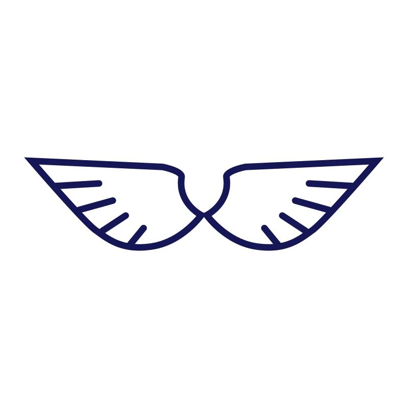 Wings