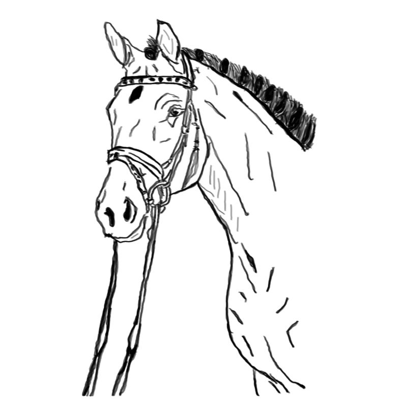 Cheval