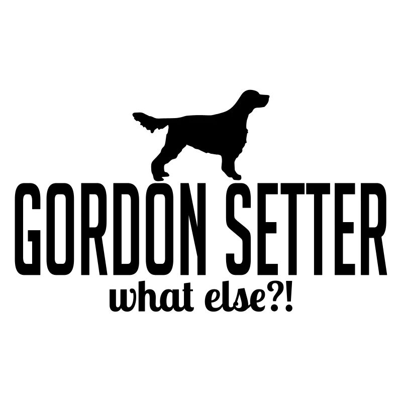 GORDON SETTER what else