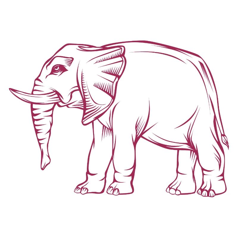 éléphant