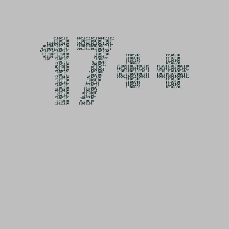 17++ Software Developer Coder Engineer 18th