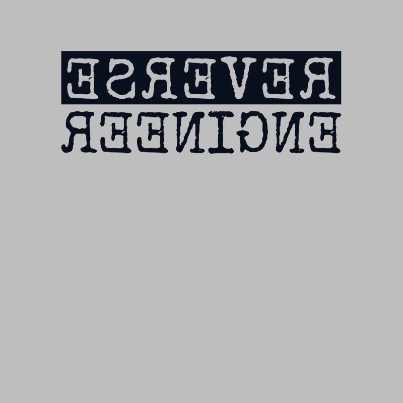 Reverse Engineer Softwareingenieur Developer