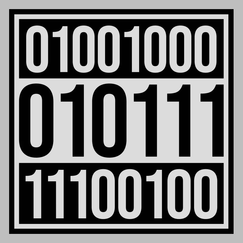 Binary Code Program Language