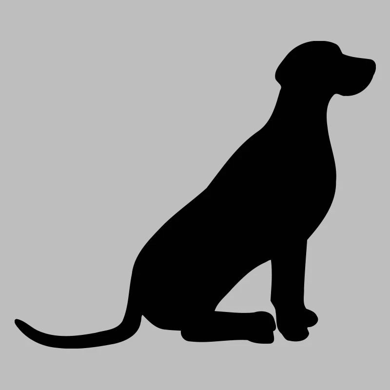 Weimaraner vector