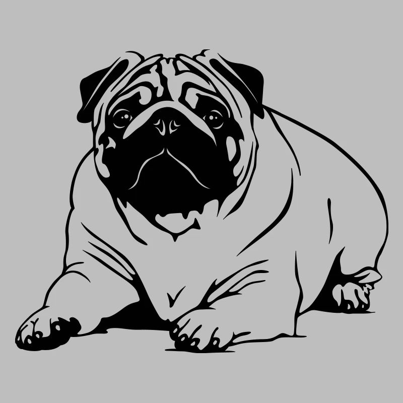 Pug - lying