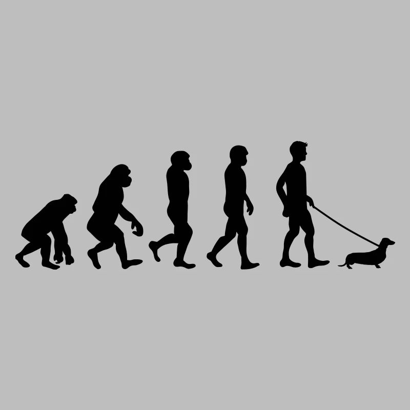 Dackel - Evolution