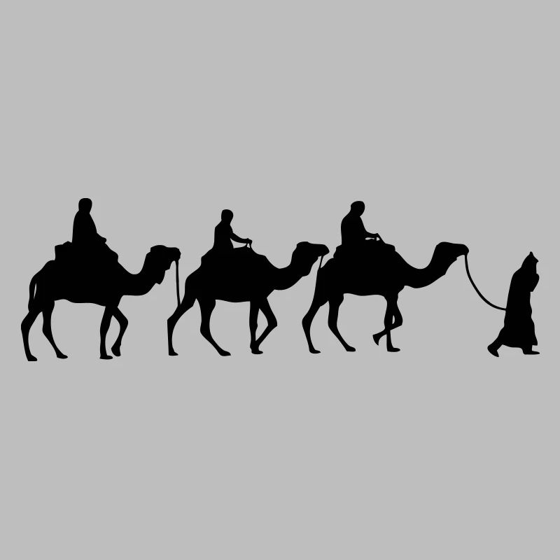 Camel - Dromedar - Kamel - Karawane