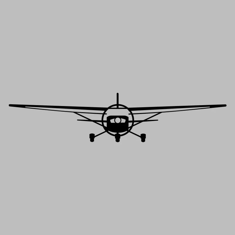 Light Airplane - Front view