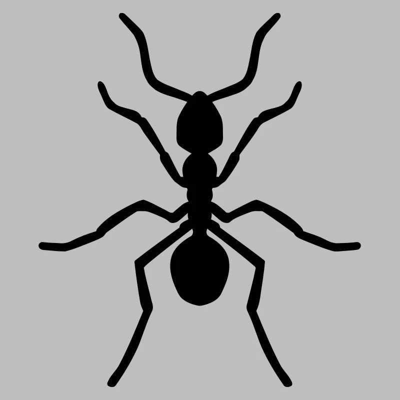 Ant