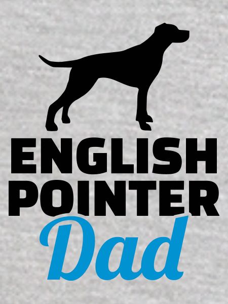 English Pointer