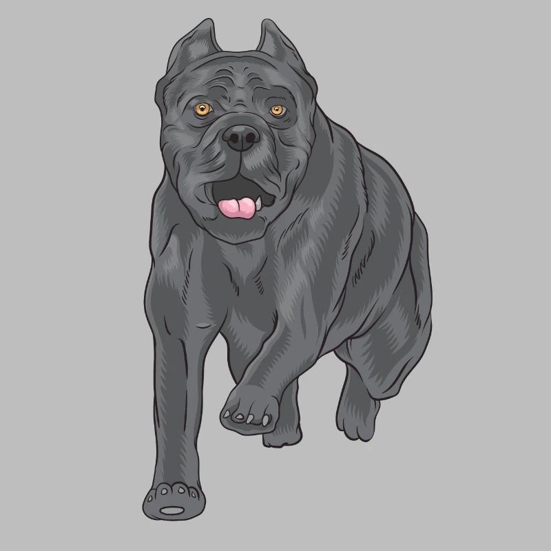 Glücklicher Cane Corso