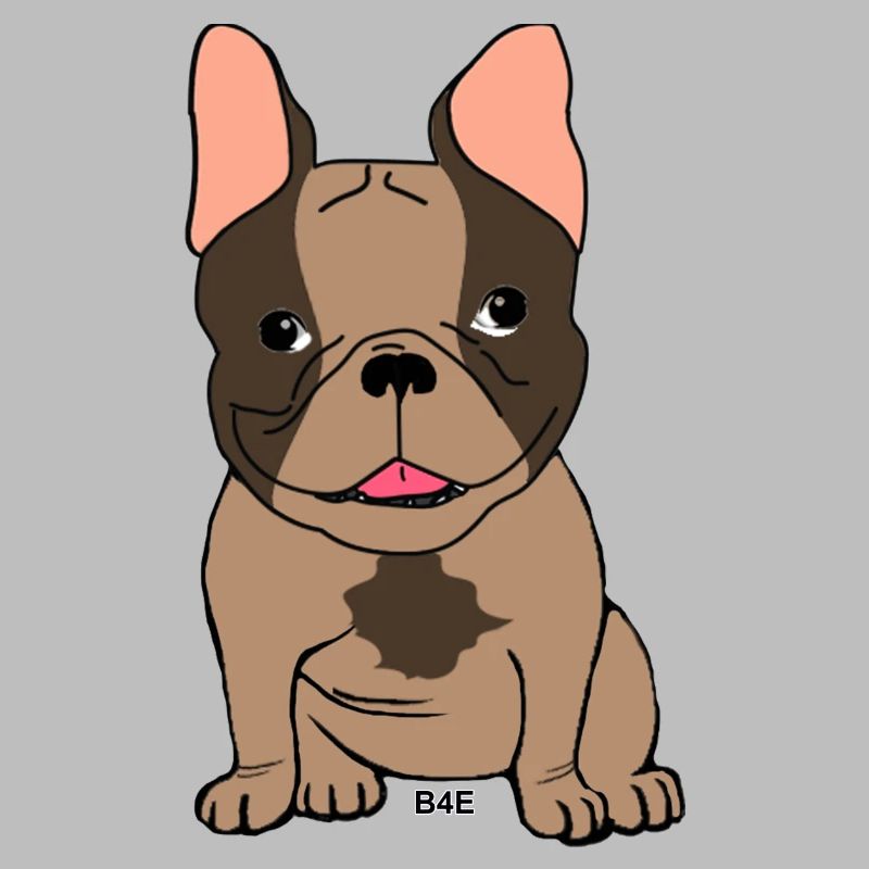 B4E - Boubou