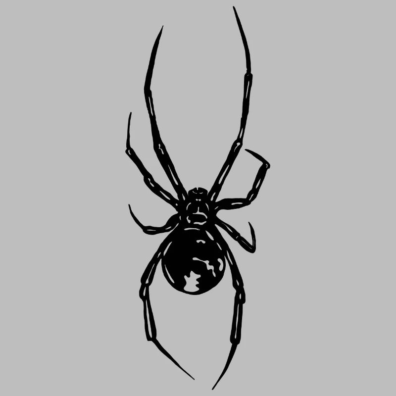 Spinne