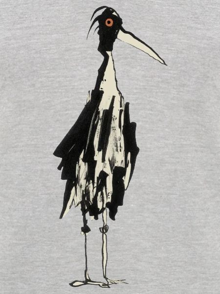 Storch