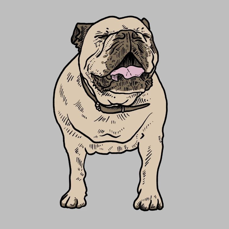 Bouledogue