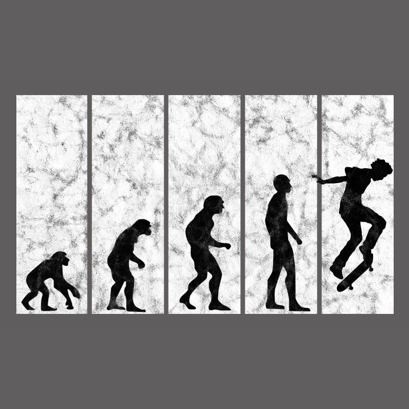Evolution Skateboarder Skateboard Skater Skate