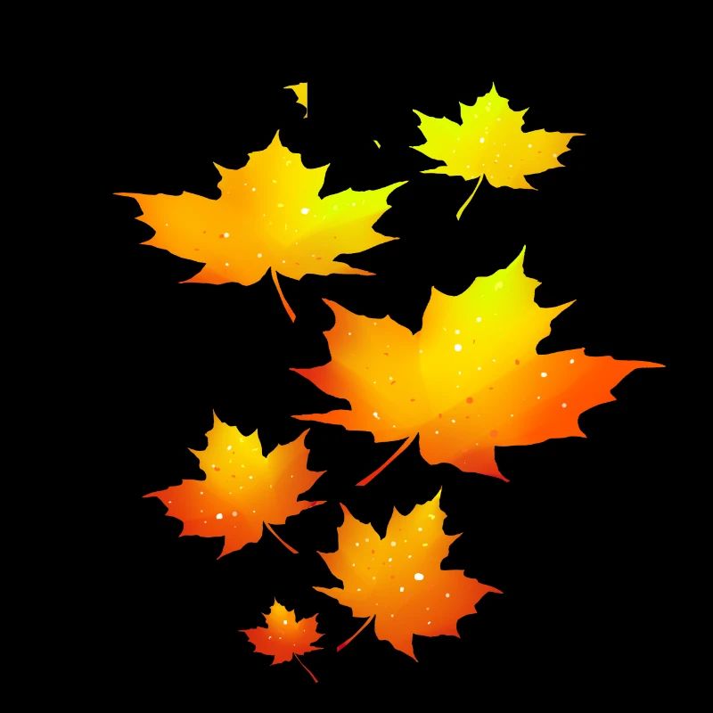 Feuilles d’automne feuilles feuilles feuilles