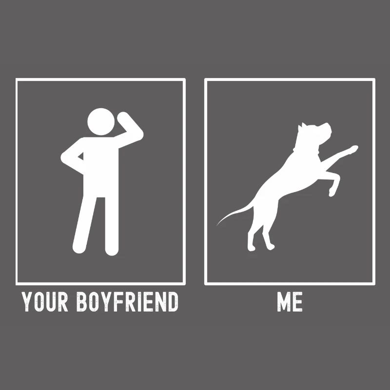 Twój przyjaciel - ja - pies startuje