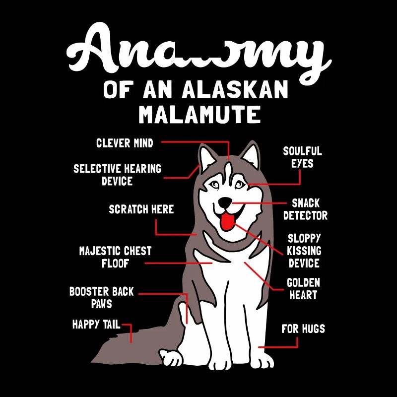 Malamute