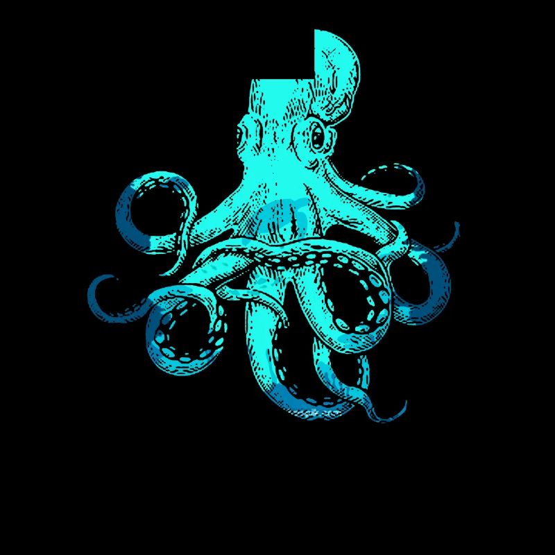 Cuttlefish octopus cuttlefish underwater sea animal